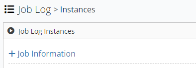 Detail view of the Job Information button in Workbench job scheduling logs view
